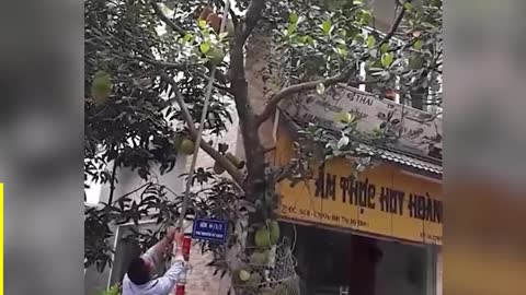 20 Fails You MUST See....