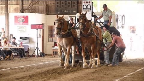 Dynamometer Machine Pull Teamsters Draft horse