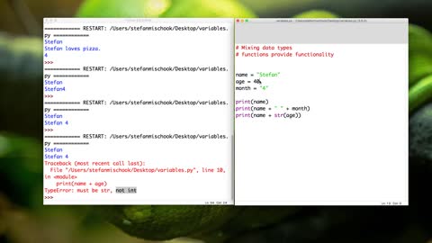 PYTHON_PRO_11._mixing_the_data_types__string_and_int (1080p)