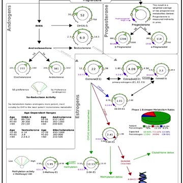 Hormones #health #body #help #hormones #doctor #medical #ill #healthy #testing #cells #testing #diet