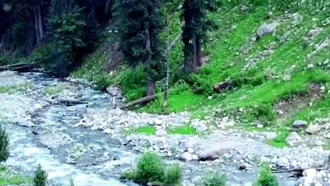 Kashmir