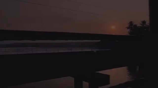 Nature Love Video