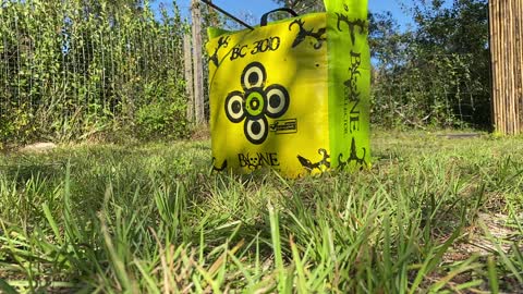 Backyard Target Practice