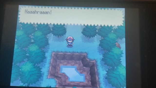 Pokemon White:A Giant Chasm Ice Storm