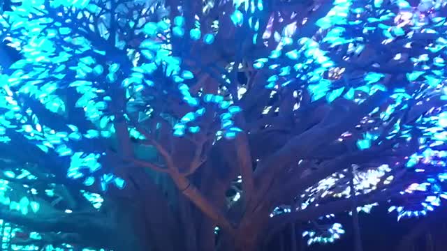 She is in awe of this place