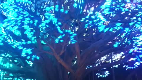 She is in awe of this place