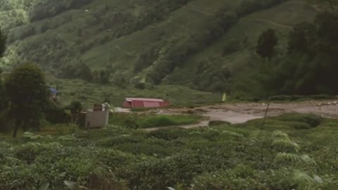 Trip to Siliguri, Darjelling & Gangtok - June 2019 - #shotoniphone