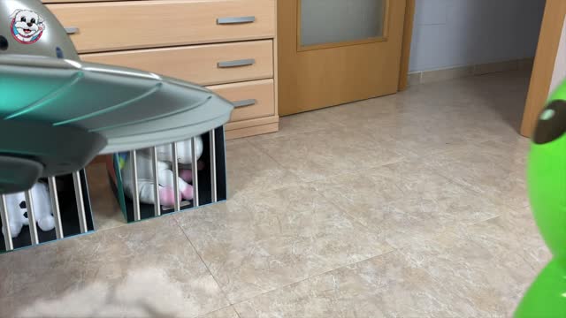 KIDNAP MY DOG! I CAN'T FIND YOLI!😱🐶 Anima Dogs onlinevideoconverter com