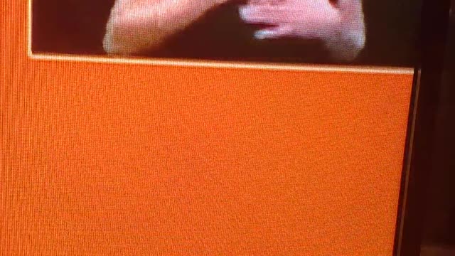 De Blasio's interpreter