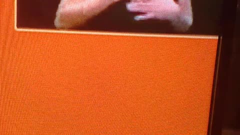 De Blasio's interpreter