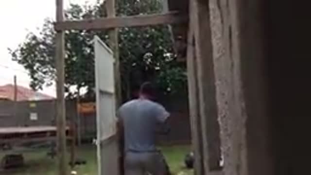 Tiger attack upon the trainer
