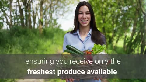 Fruit And Vegetable Suppliers For Restaurants Sydney | Call - 02 9746 6503 | harvestfresh.com.au