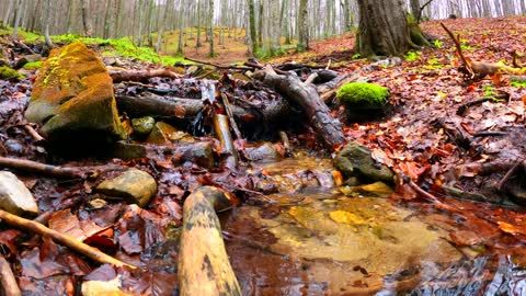 RELAX IN 1 MINUTE| The sound of the river will help you calm down quickly