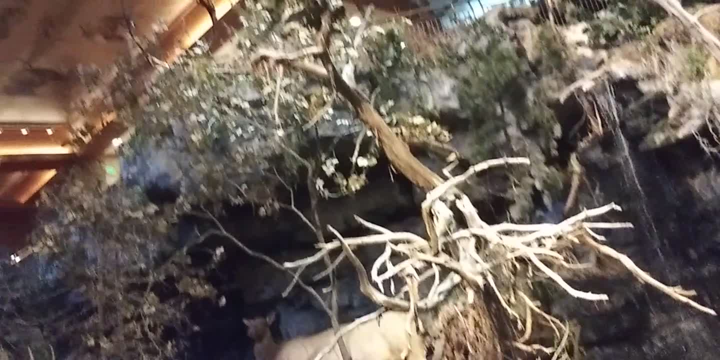 GREAT SHOPPING STORE.