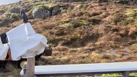 Udendørs Frøya 2022