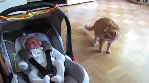 SUPER CUTE - Cats Meeting Babies For The First Time! 😻