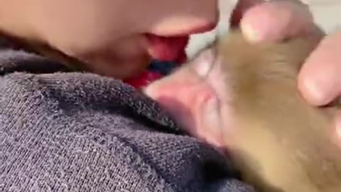 This little baby monkey doesn't want to leave his owner