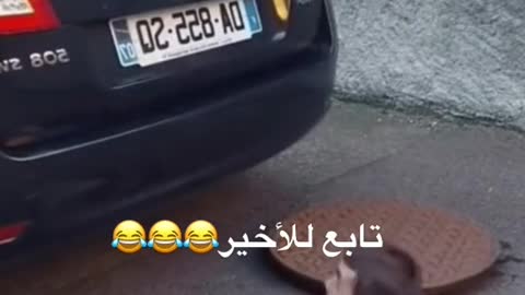 مقاطع ضحك