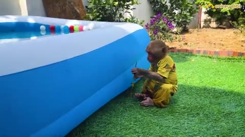 Bibi Mischievous Punctures The Swimming Pool