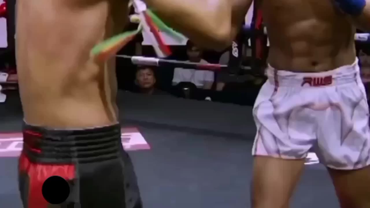 This Fighter is a sweeping leg kick specialist.