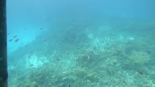 Diving in Hurghada in Egypt red Sea