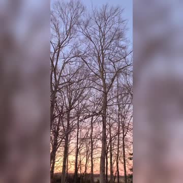 Sunrise Moments In Nature