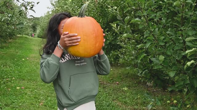 Abóbora Gigante