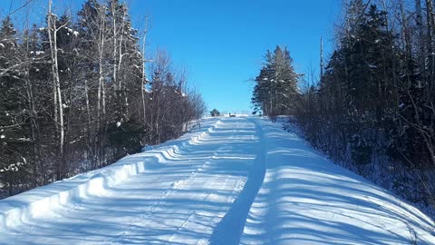 La luge / sledding