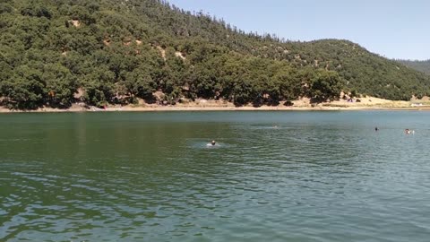 swimming in the lake