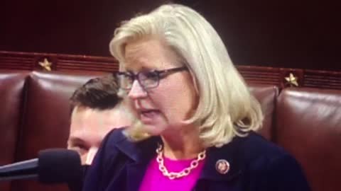 Liz Cheney admits to being a Democrat. Her words, not mine.