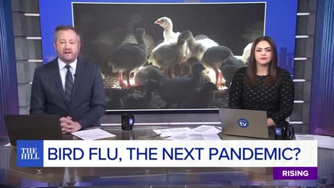 BIRD FLU: California Declares State Of EMERGENCY To Prevent New Public Health CRISIS