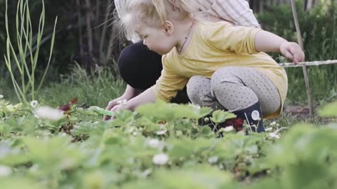 video-of-woman-and-her-child-putting-fertilizers-on-the-plants