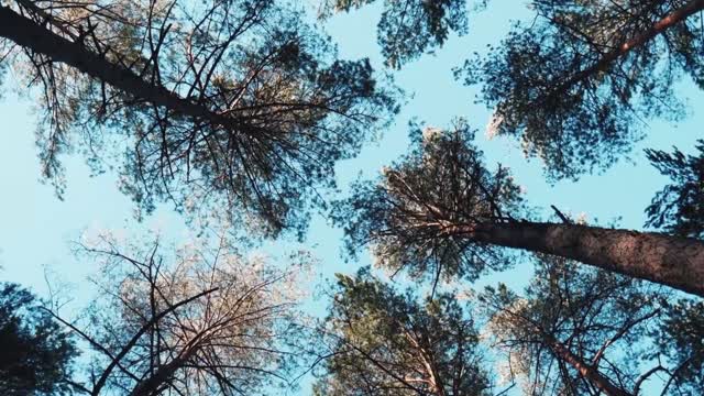 Gratitude, life, hope!