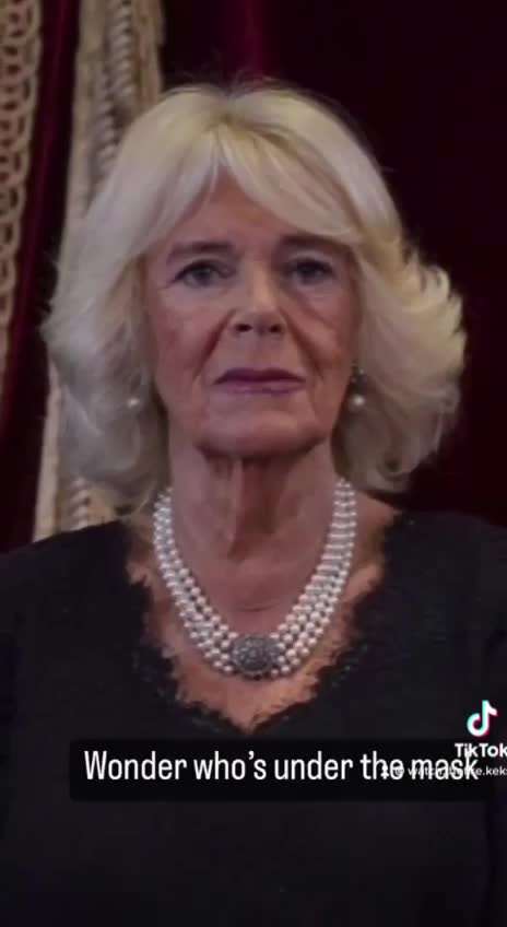 MORE DEEP FAKE - CAMILLA ! Who are you ?!?