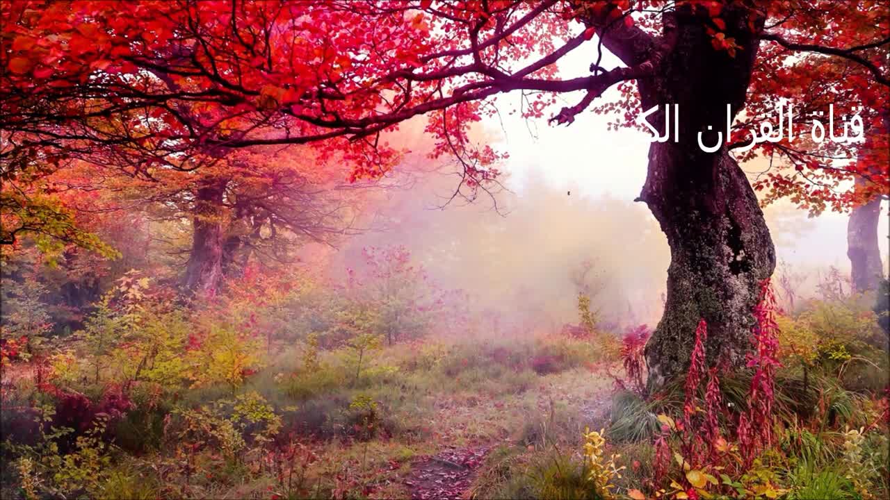 اجمل تلاوه خاشعه ممكن تسمعها في حياتك