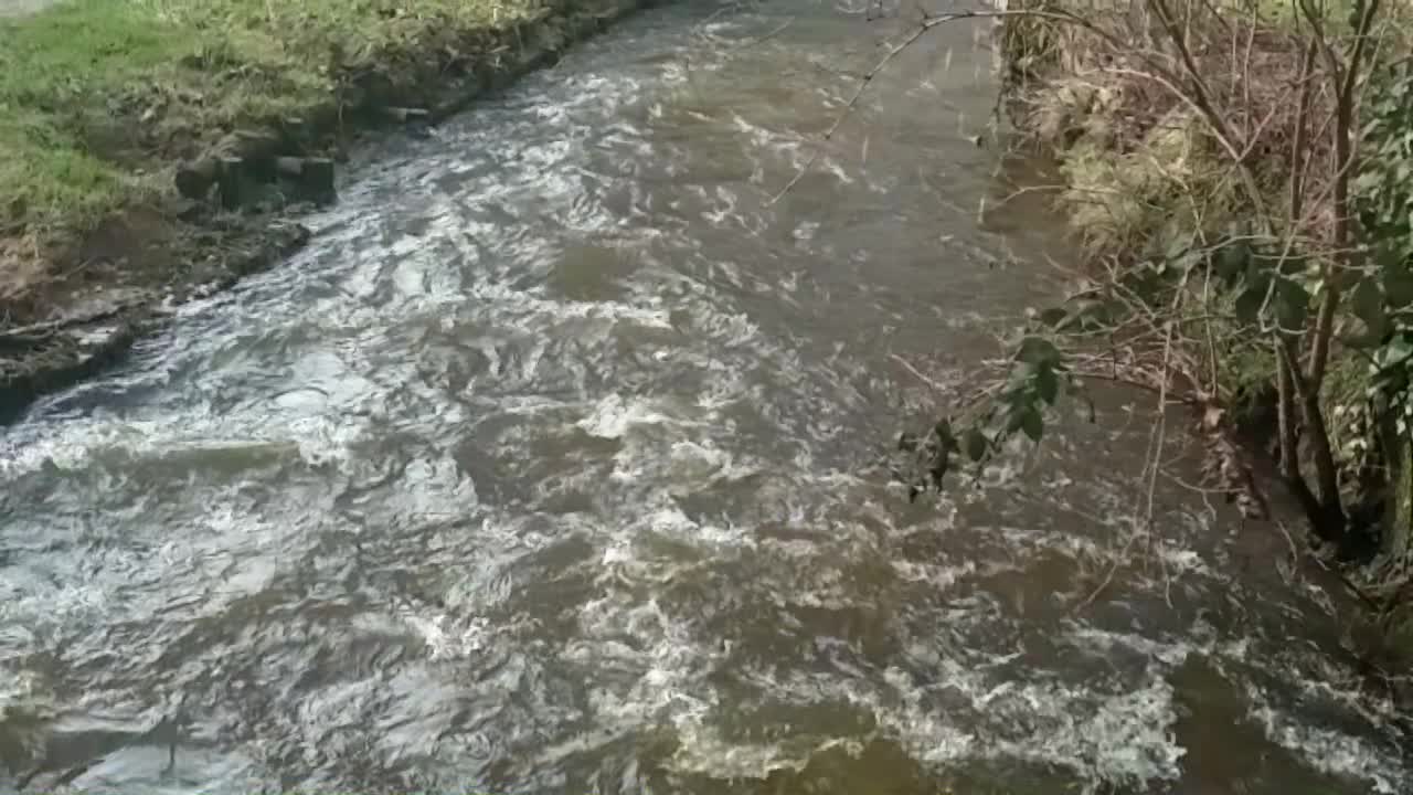 Slowly flowing water