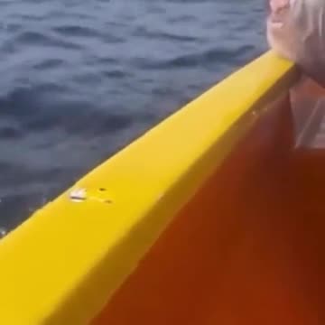 Venezuelan narco named 'Taliban' is dumped alive in the Caribbean Sea after cocaine takedown