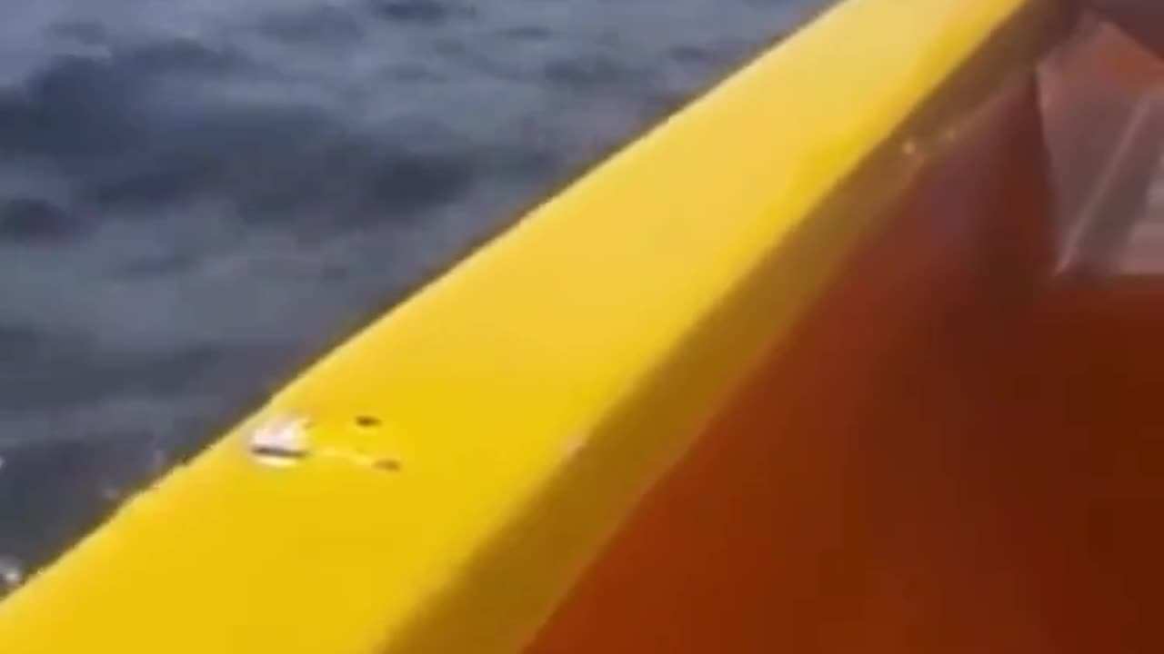 Venezuelan narco named 'Taliban' is dumped alive in the Caribbean Sea after cocaine takedown