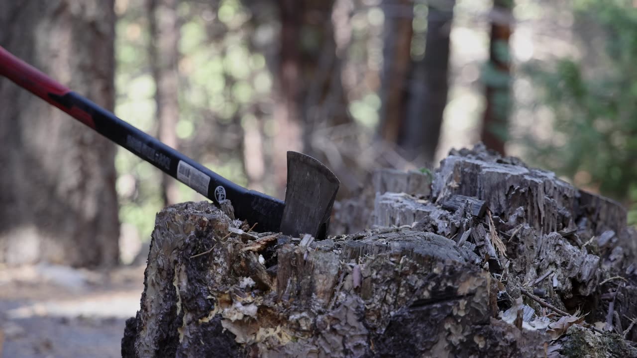 Axe, Wood, Splitting, Hd axe wood splitting hd