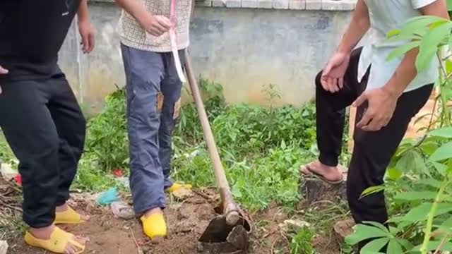 Best Funny Videos - Challenge Do Not Laugh