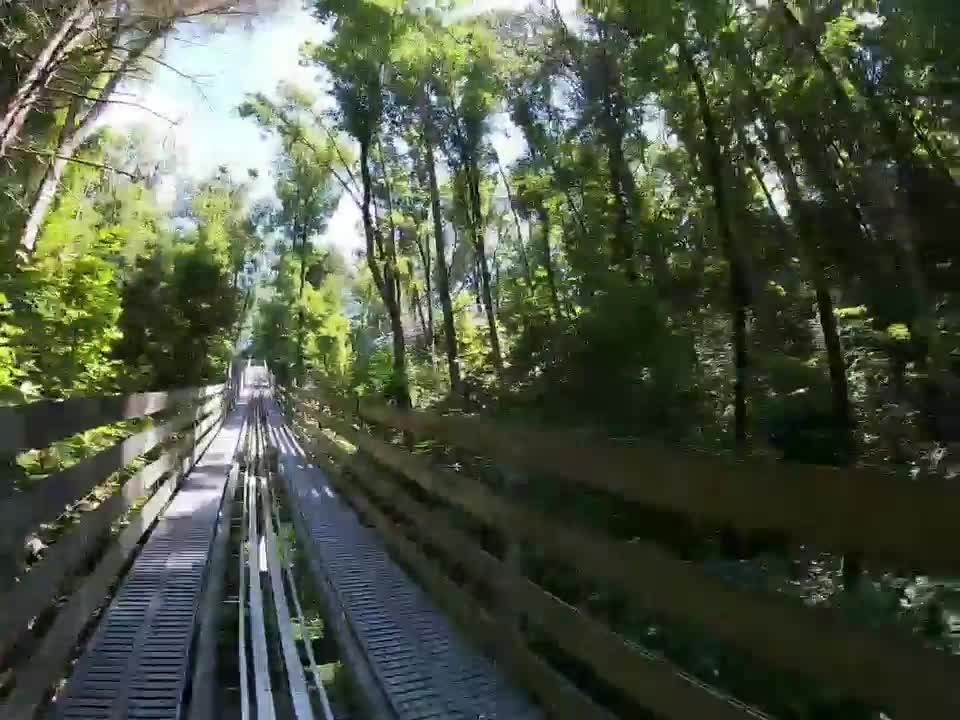 Mountain Roller Coaster