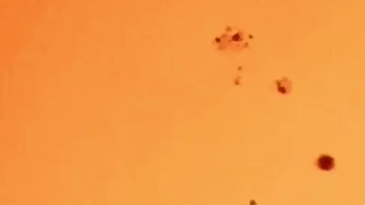 Amateur astronomer captured UFO while observing the Sun through his telescope - Ufo Sun