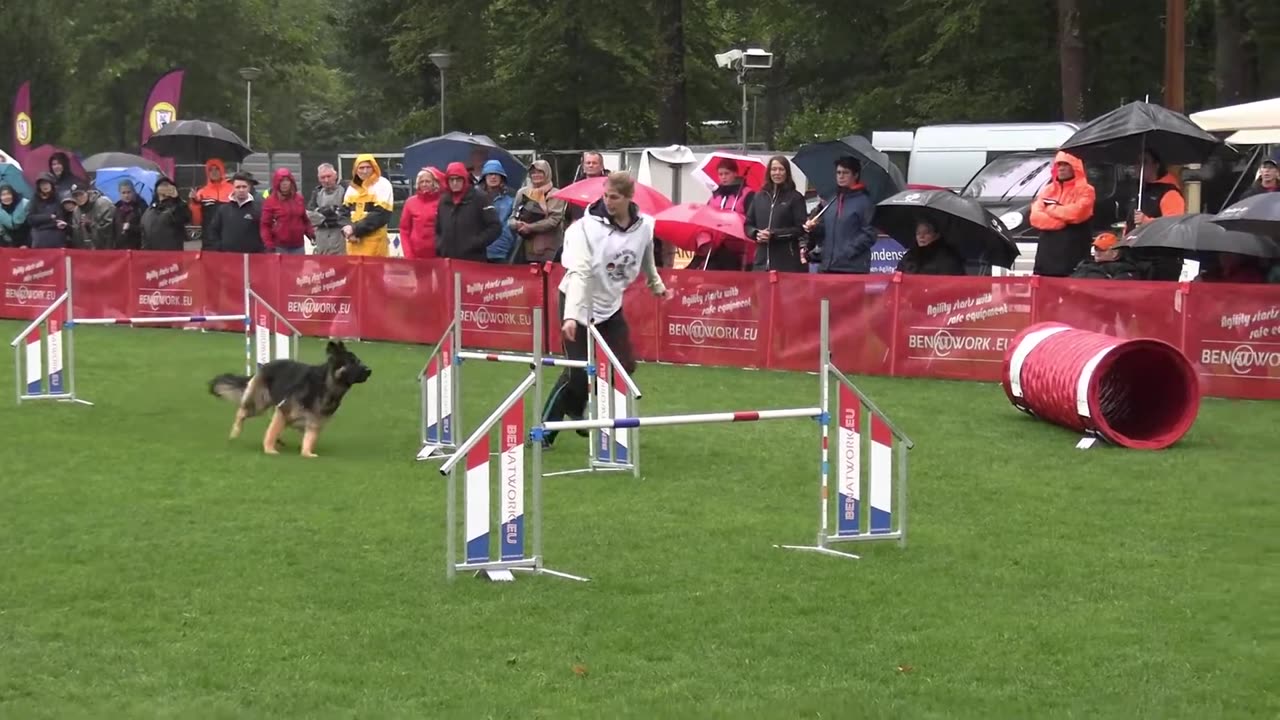 Training World Championship Agility German Shepherds Lina Bergmann Ine v Krausenberg