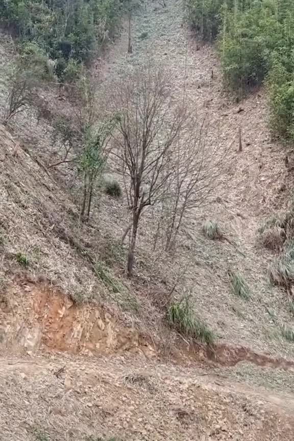 funny|prank|jokes|funny jokes|dad jokes|funny memes|funny video|fun|laughing|funny animal|knock