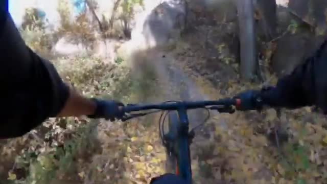 Mountain biking