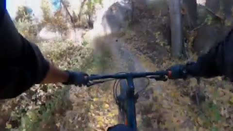 Mountain biking