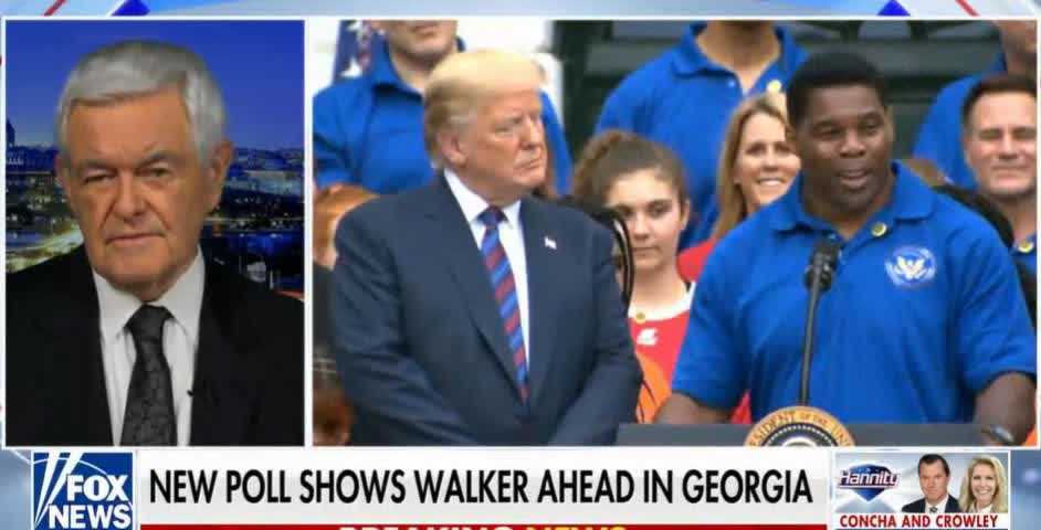 Football legend Herschel Walker running for senate in Georgia against crazy delusional man. Running false information adds against Football legend Herschel Walker. Sad to watch liars do this to good people like saying he was never a cop and Herschel Walk