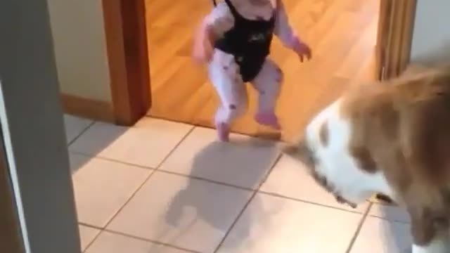 Bebê dando muita risada com seu cachorro pulando.