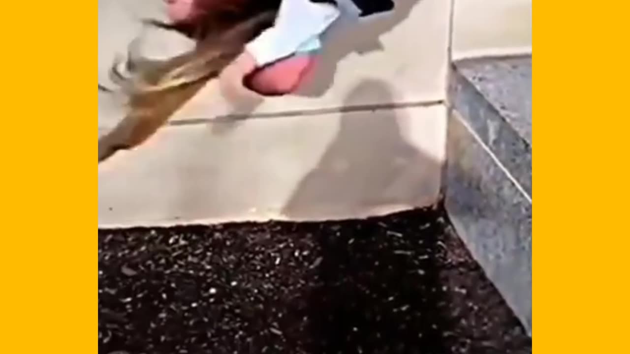 Part 145 | TRY NOT TO LAUGH CHALLENGE GONE EXTREMELY WRONG😂😂😂 #funny #memes
