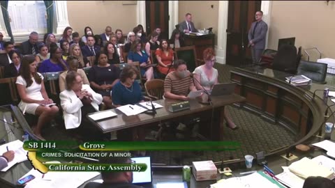 Woke Leftists Argue Against A Bill Which Would Make it A Felony To